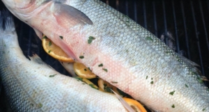 Wolfsbarsch grillen