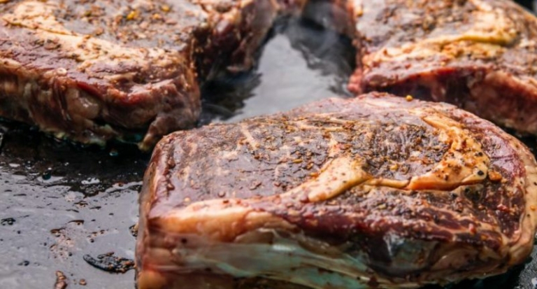 feuerplatte-grillen