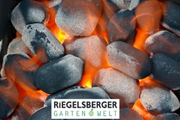 40 kg Dauerbrenner Premium Grillbriketts von Gartenwelt Riegelsberger High Energy bis zu 4 Std. Brenndauer Long Lasting Briketts Made IN Germany (4X 10 kg) - 3