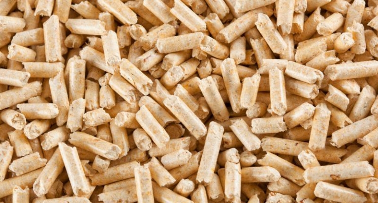 Grillpellets kaufen: Der neue Trend
