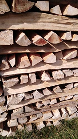 TNNature 30kg getrocknetes Feuerholz | Grillholz | Brennholz aus Buche | Holz aus nachhaltiger deutscher Forstwirtschaft | sofort einsetzbar (25cm) - 1