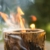 KOTARBAU® Schwedenfeuer mit Anzünddocht Gartenfackel Gartenkerze in einem Holzklotz Holzschaum Holzfackel Grill Picknick Garten Standard Finnenfackel - 5
