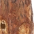 KOTARBAU® Schwedenfeuer mit Anzünddocht Gartenfackel Gartenkerze in einem Holzklotz Holzschaum Holzfackel Grill Picknick Garten Standard Finnenfackel - 7