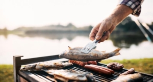 Skotti Grill Alternative